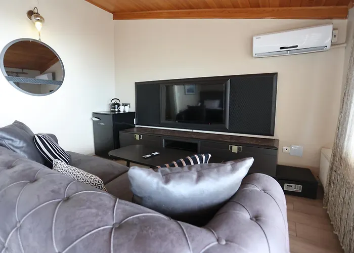 Bucoleon By Cheers *