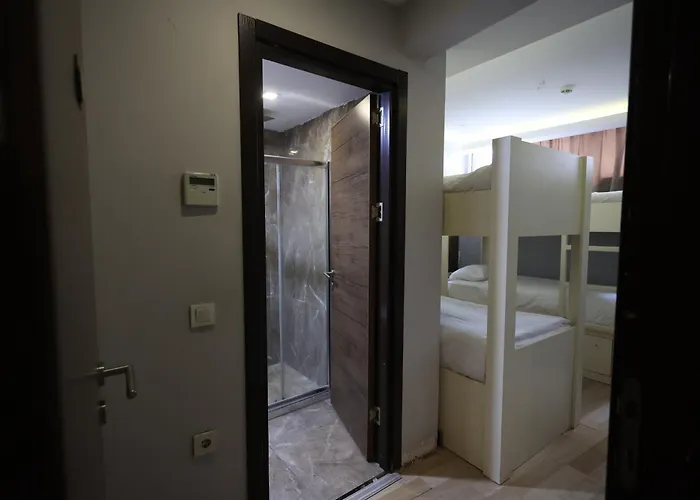 Bucoleon By Cheers *